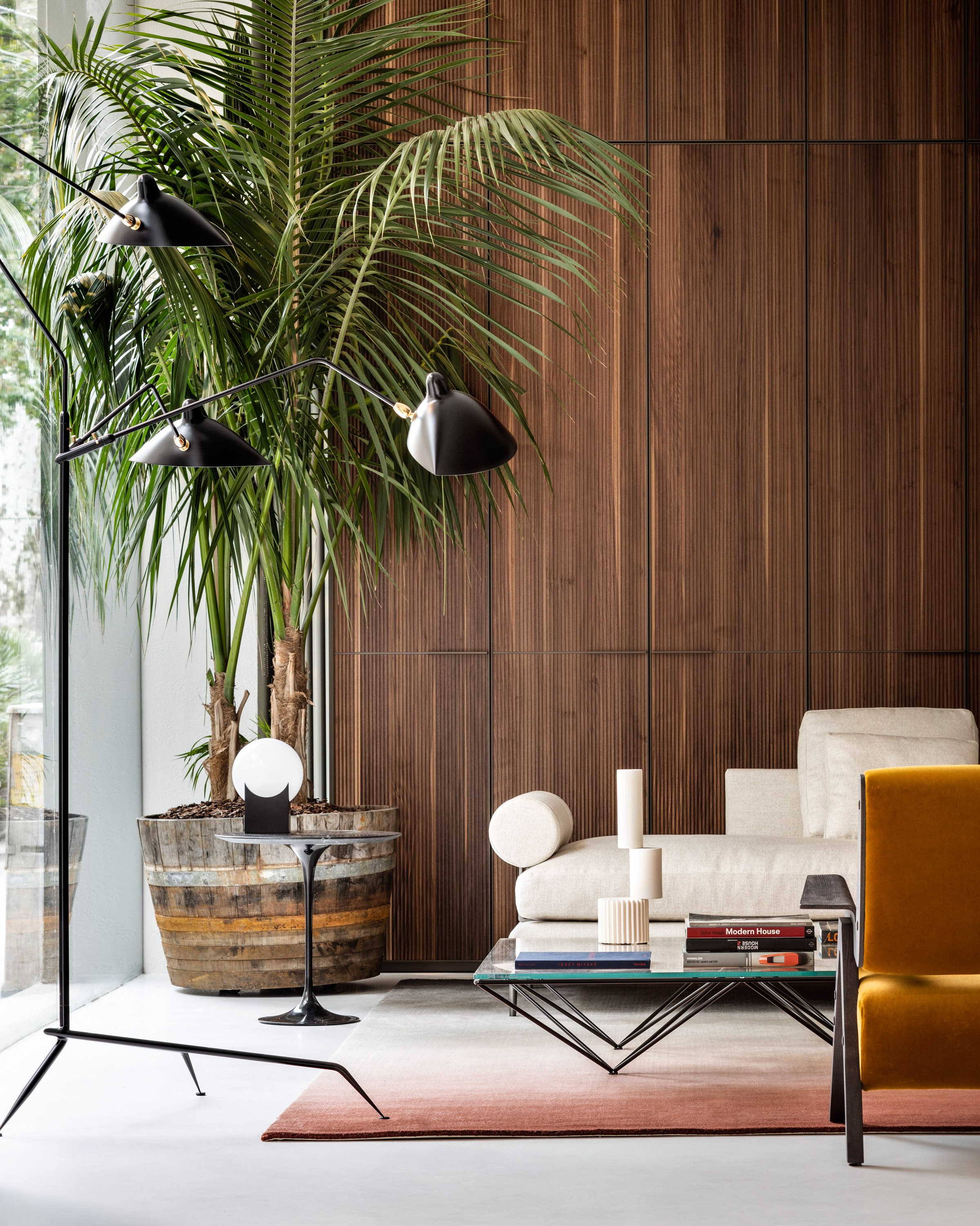 14 Spotti Quincoces Drago