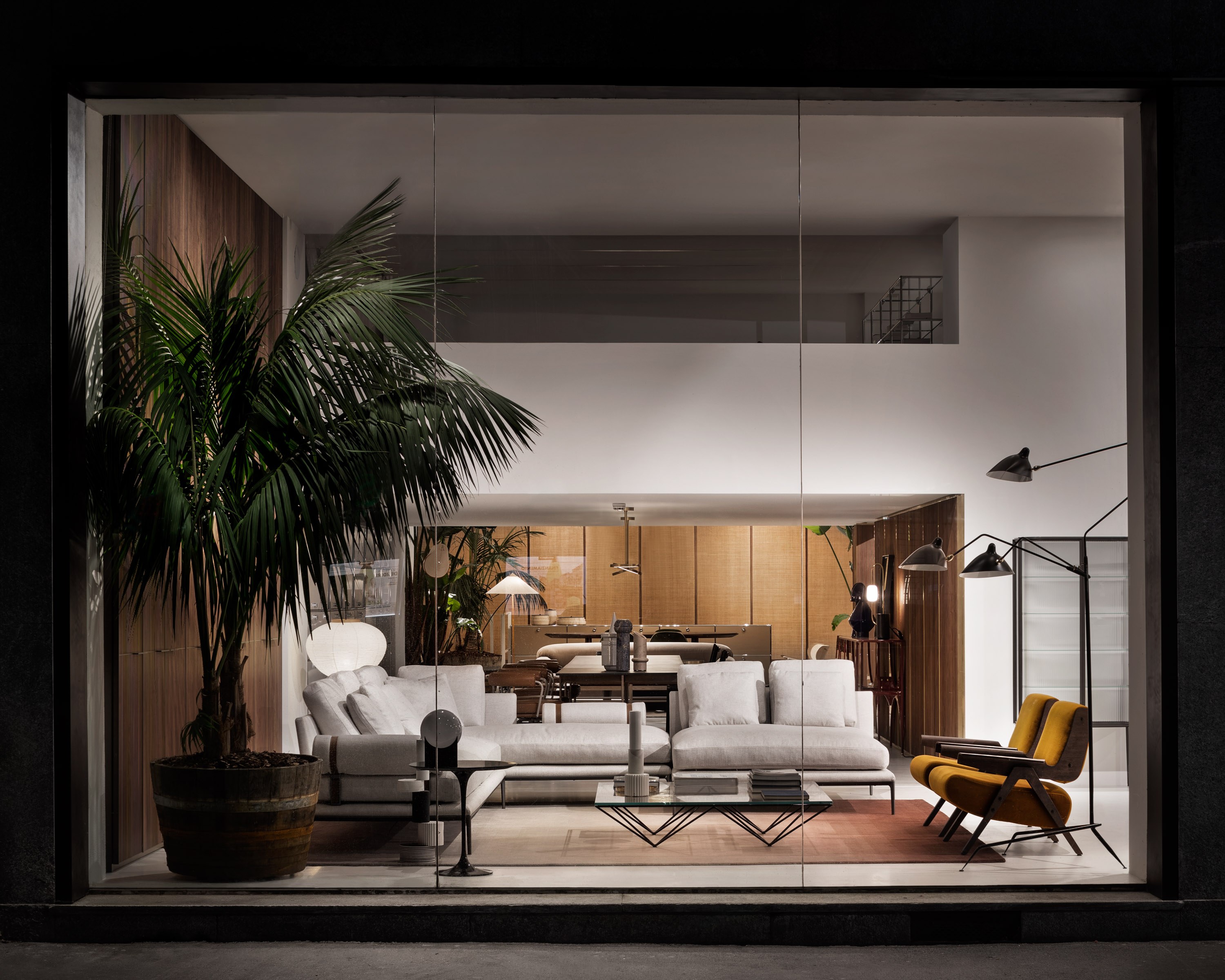 33 Spotti Quincoces Drago