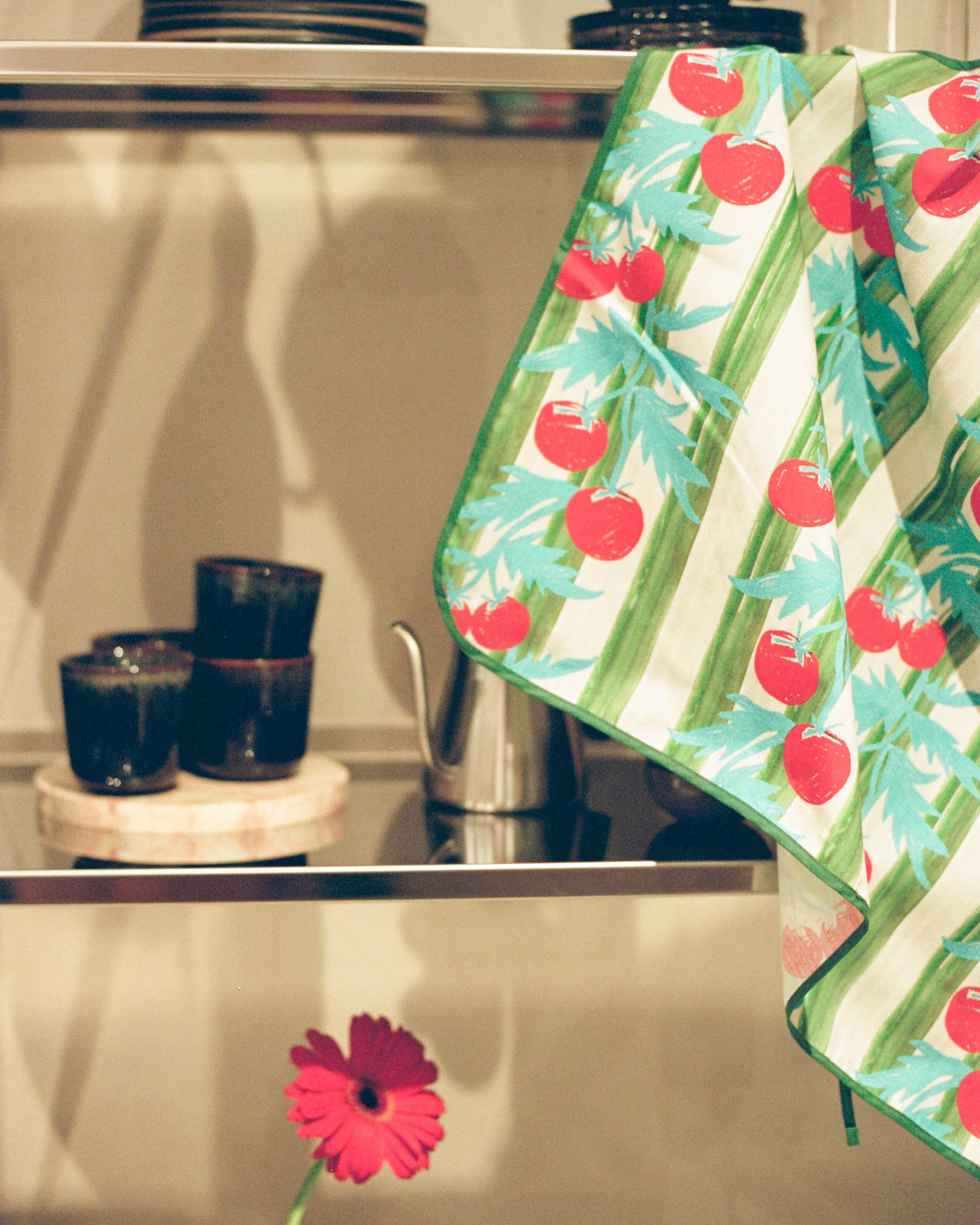 231106 C Hx SPOTTI K448 BS 4