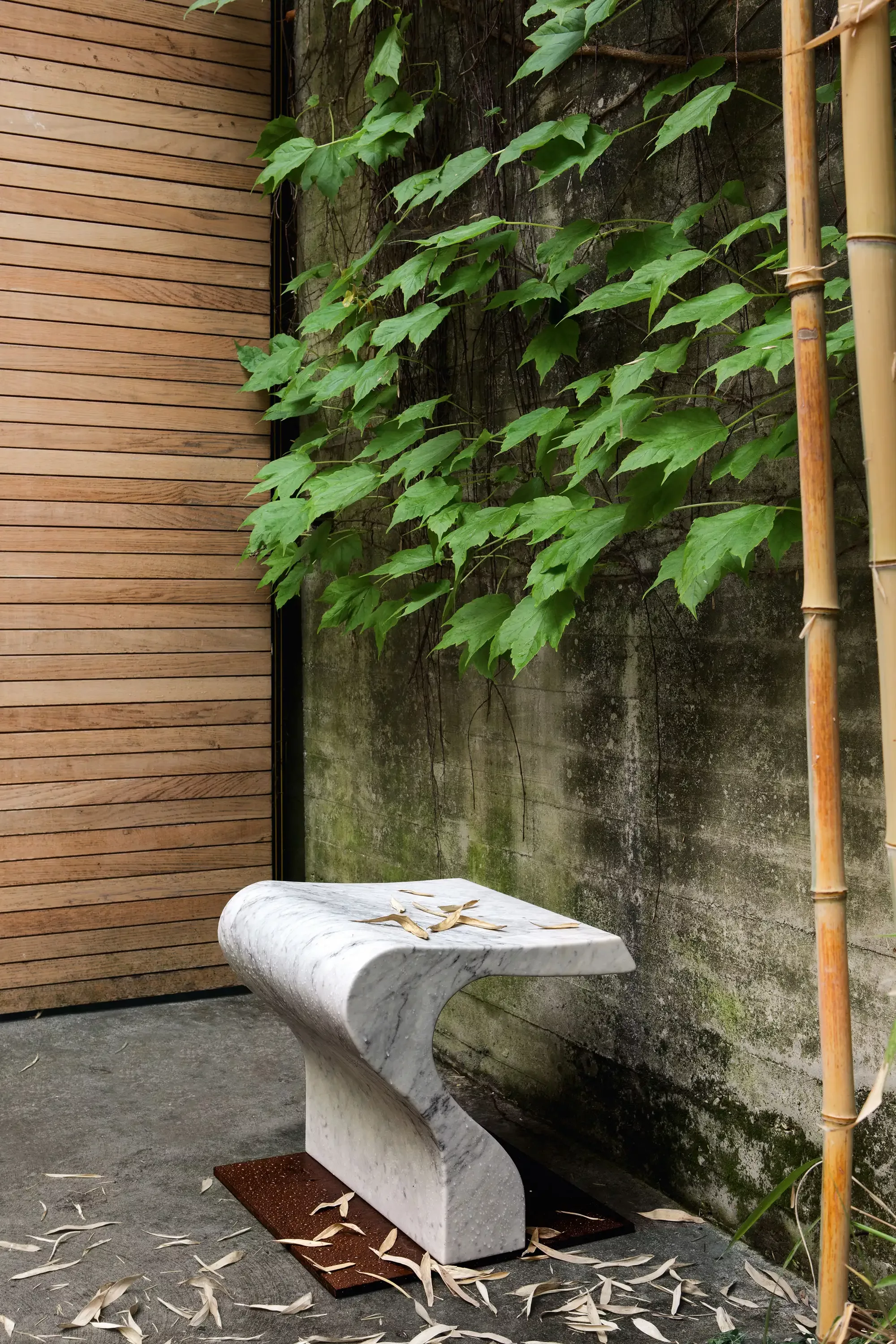 AGAPECASA CLIZIA 4368