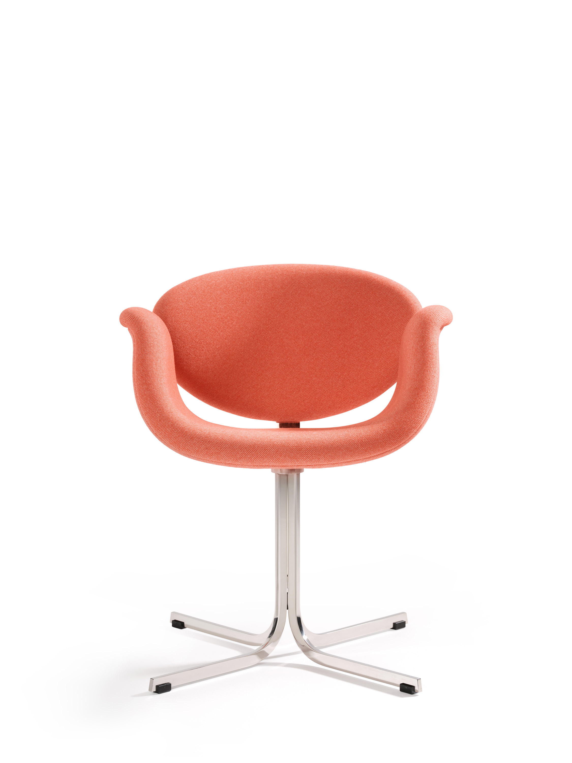 Little Tulip crossbase 1 A HR