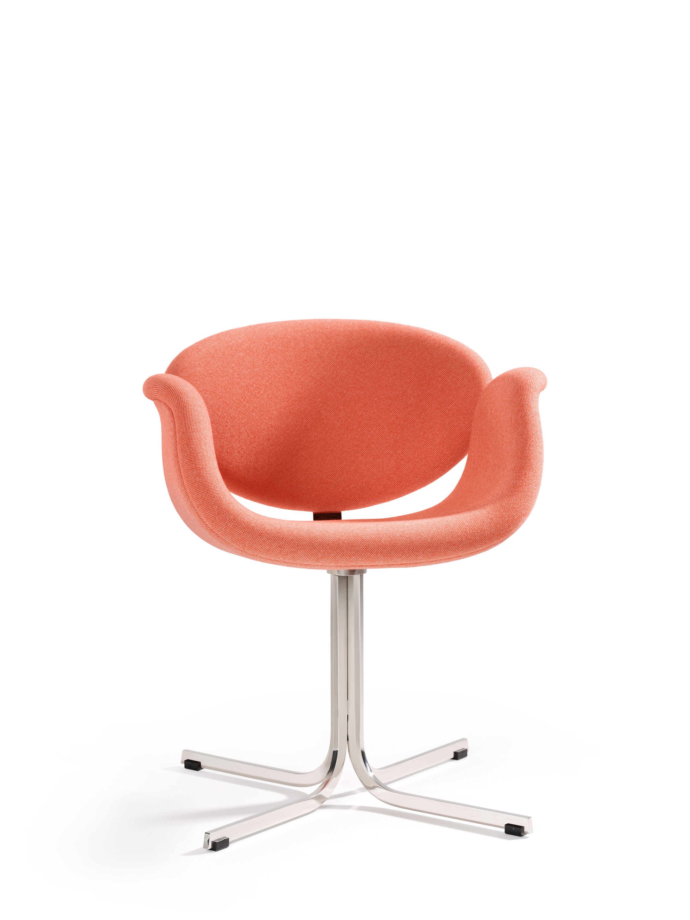 Little Tulip crossbase 1 B HR