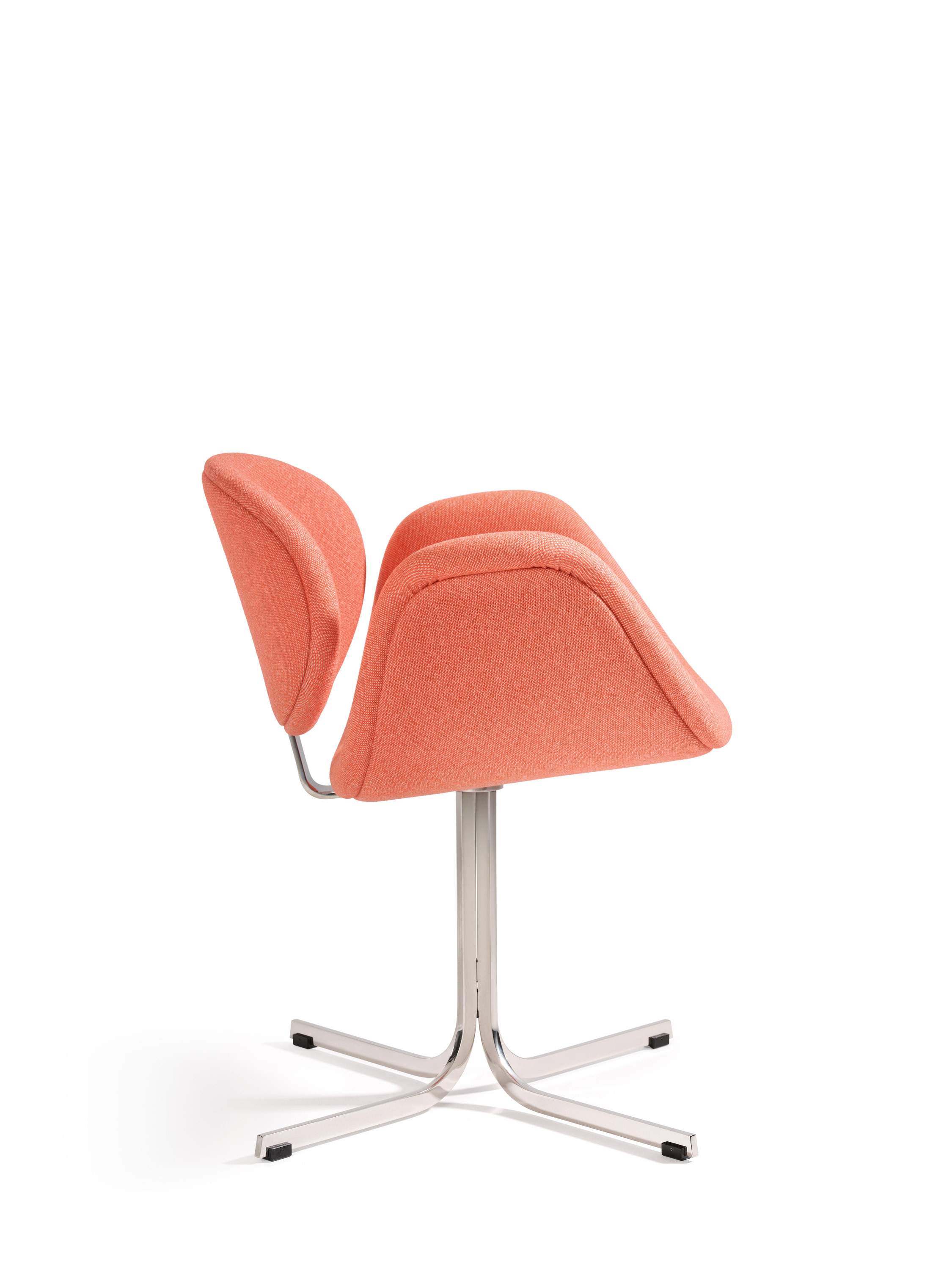 Little Tulip crossbase 1 C HR