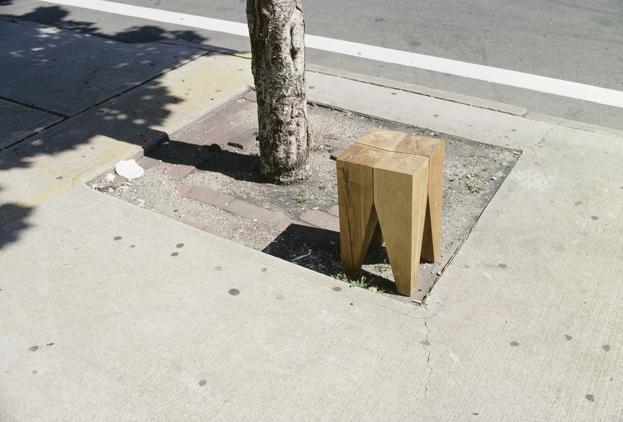 Mark Borthwick Backenzahn 01