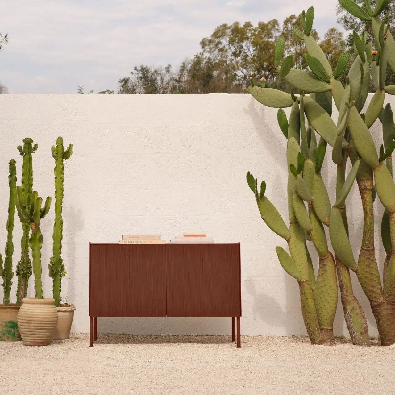 SAMBA LOW SIDEBOARD WITH TWO DOORS