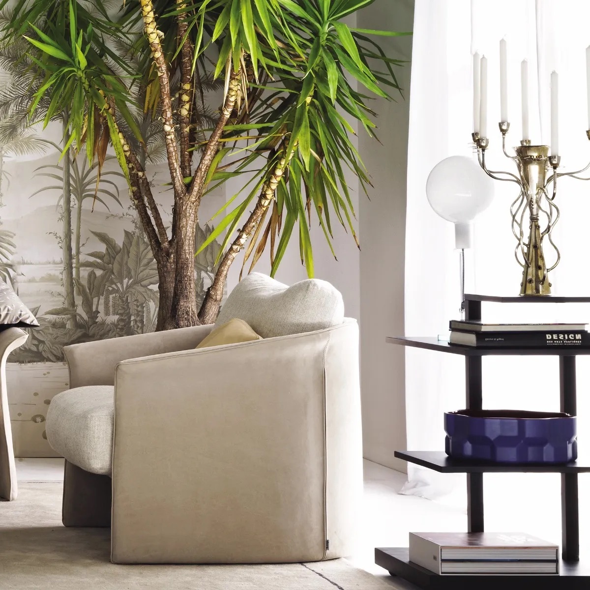 Parola f265805100bine amb