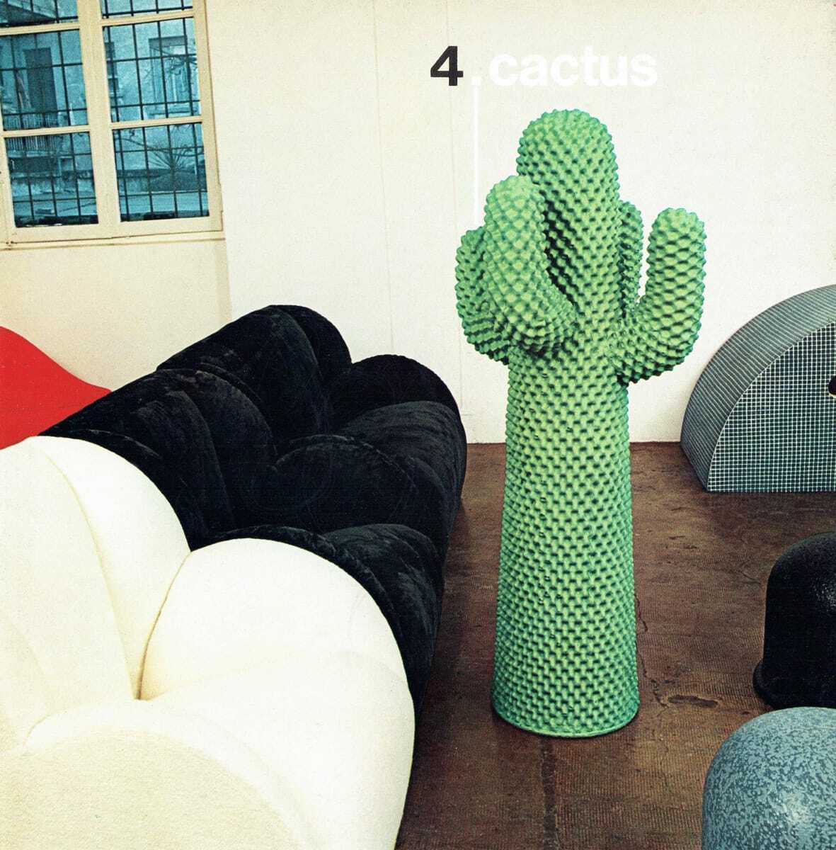 Cactus 4 CATALOGO 73