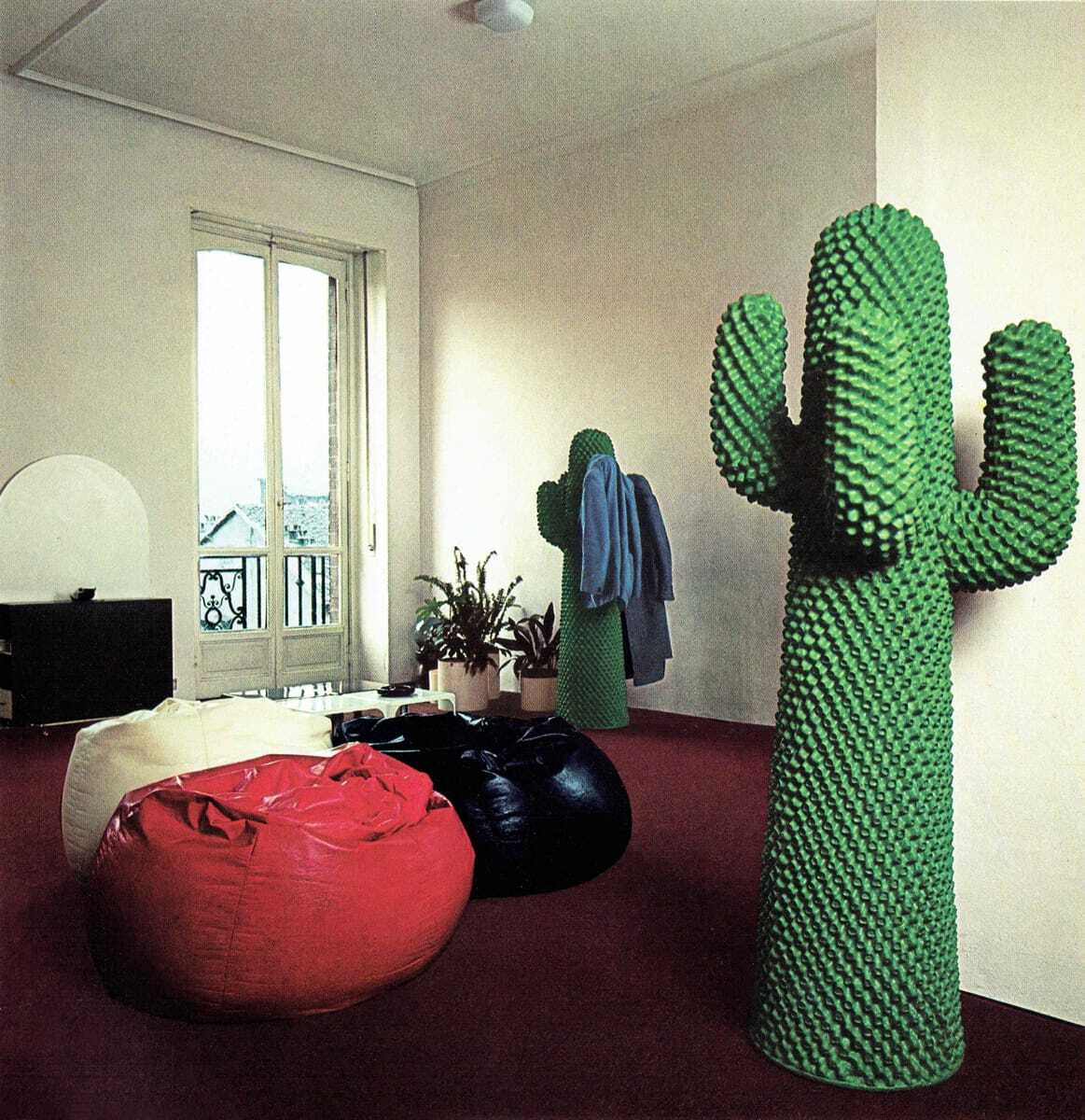 Cactus sacco CATALOGO 73
