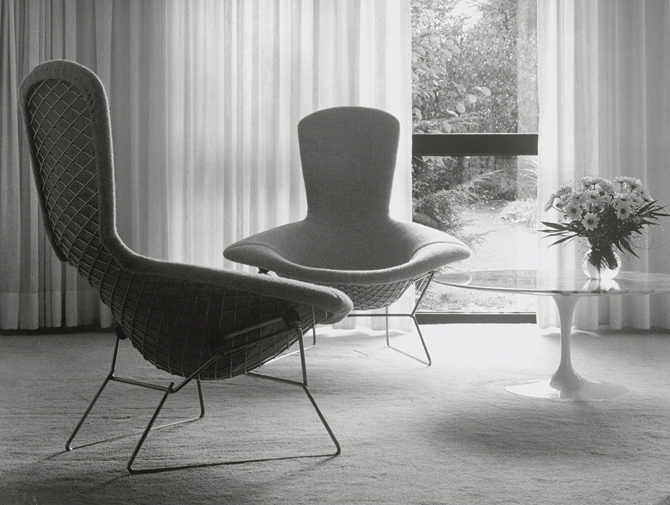 Bertoia bird product story