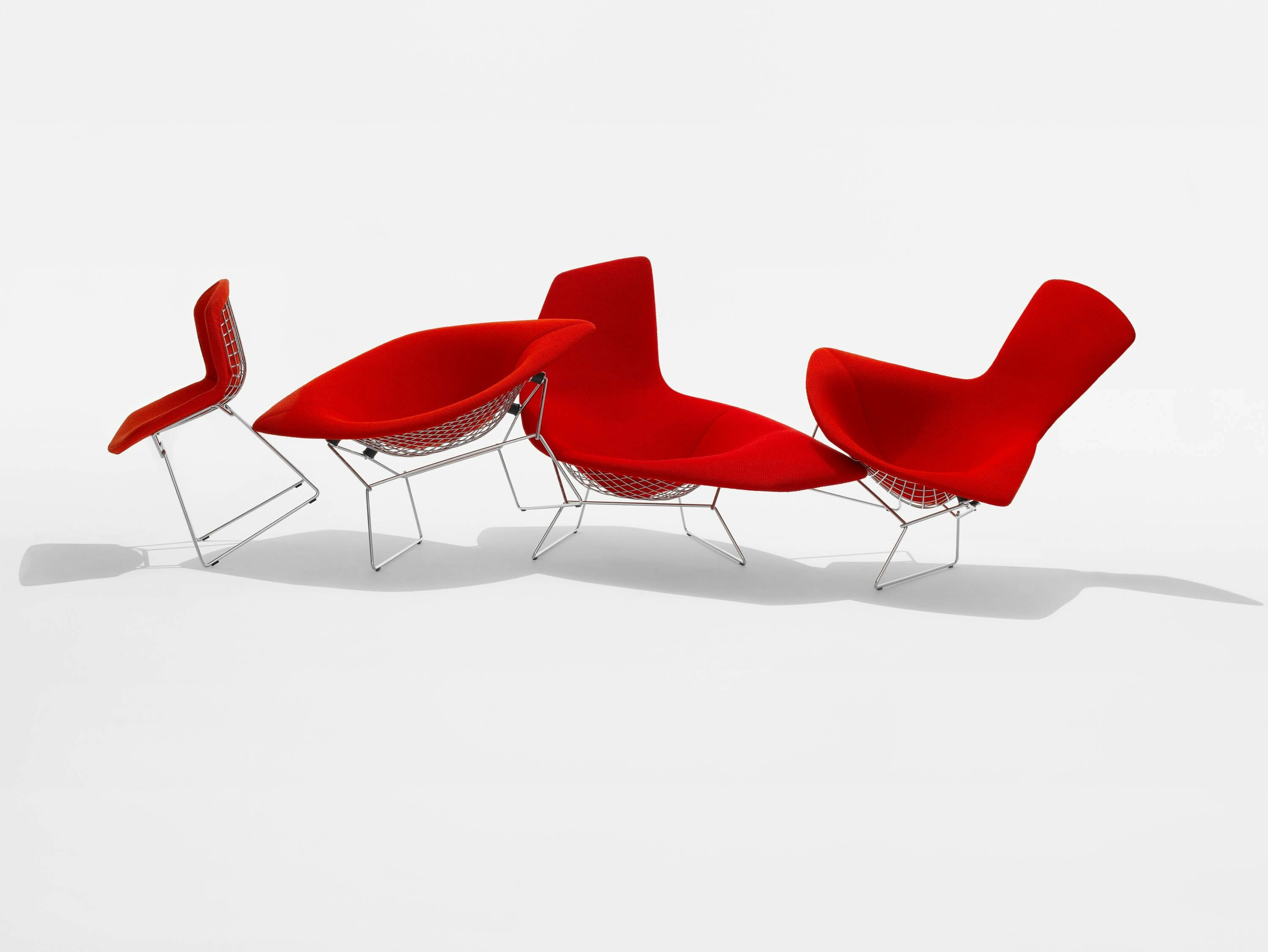 G KNO BRT 4831 jpg 1