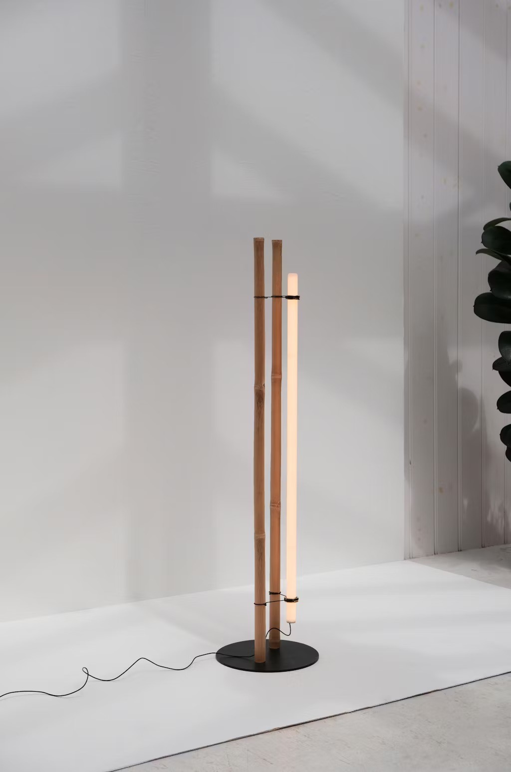 4999ca67 8a1b 4439 9303 e41598de1715 MA ta ke1 Portrait2 2022