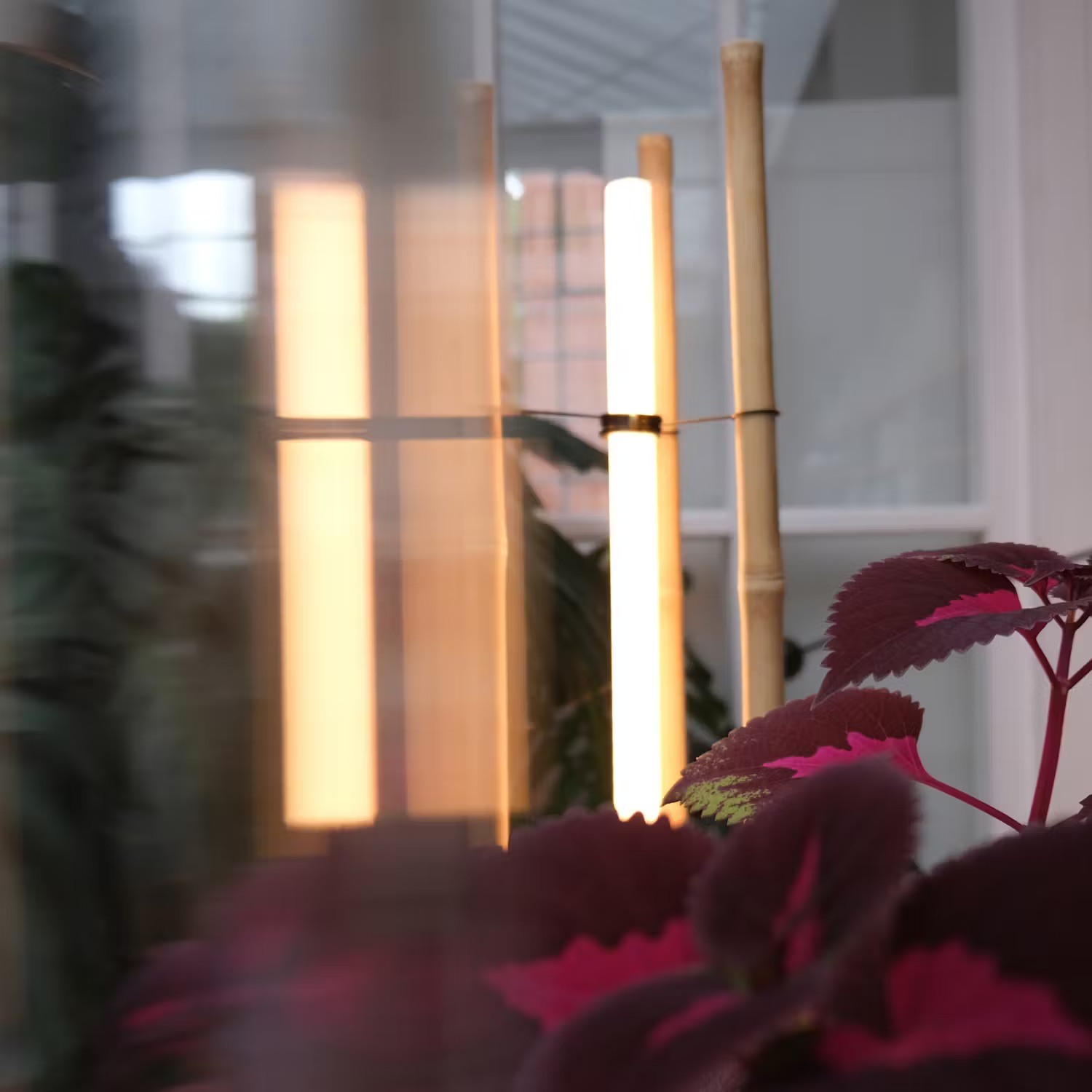 Zxeb ZIF3 Nbk BX1t7 7michaelanastassiades ta ke3 nwb