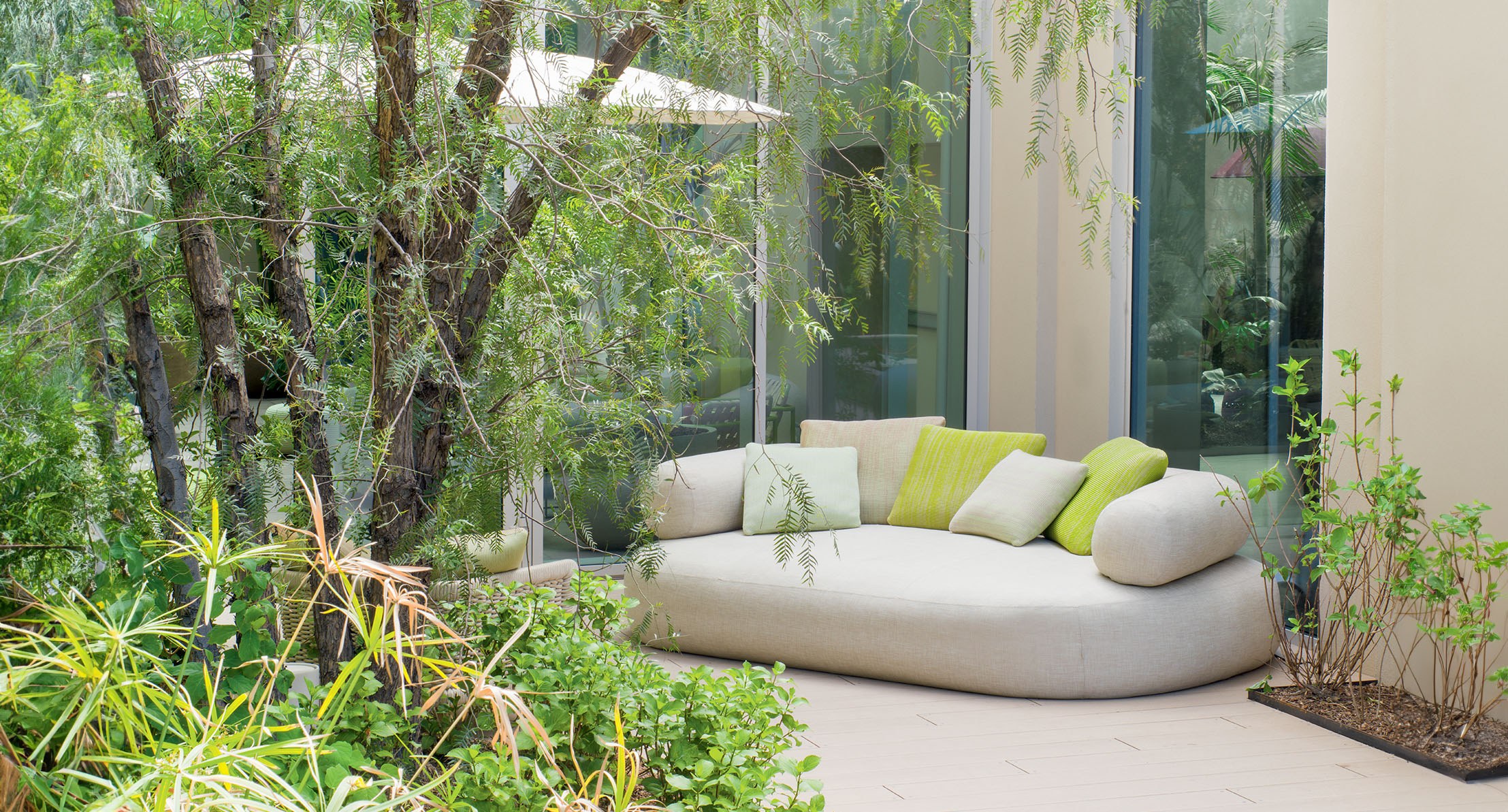 Noah slide1 Paola Lenti