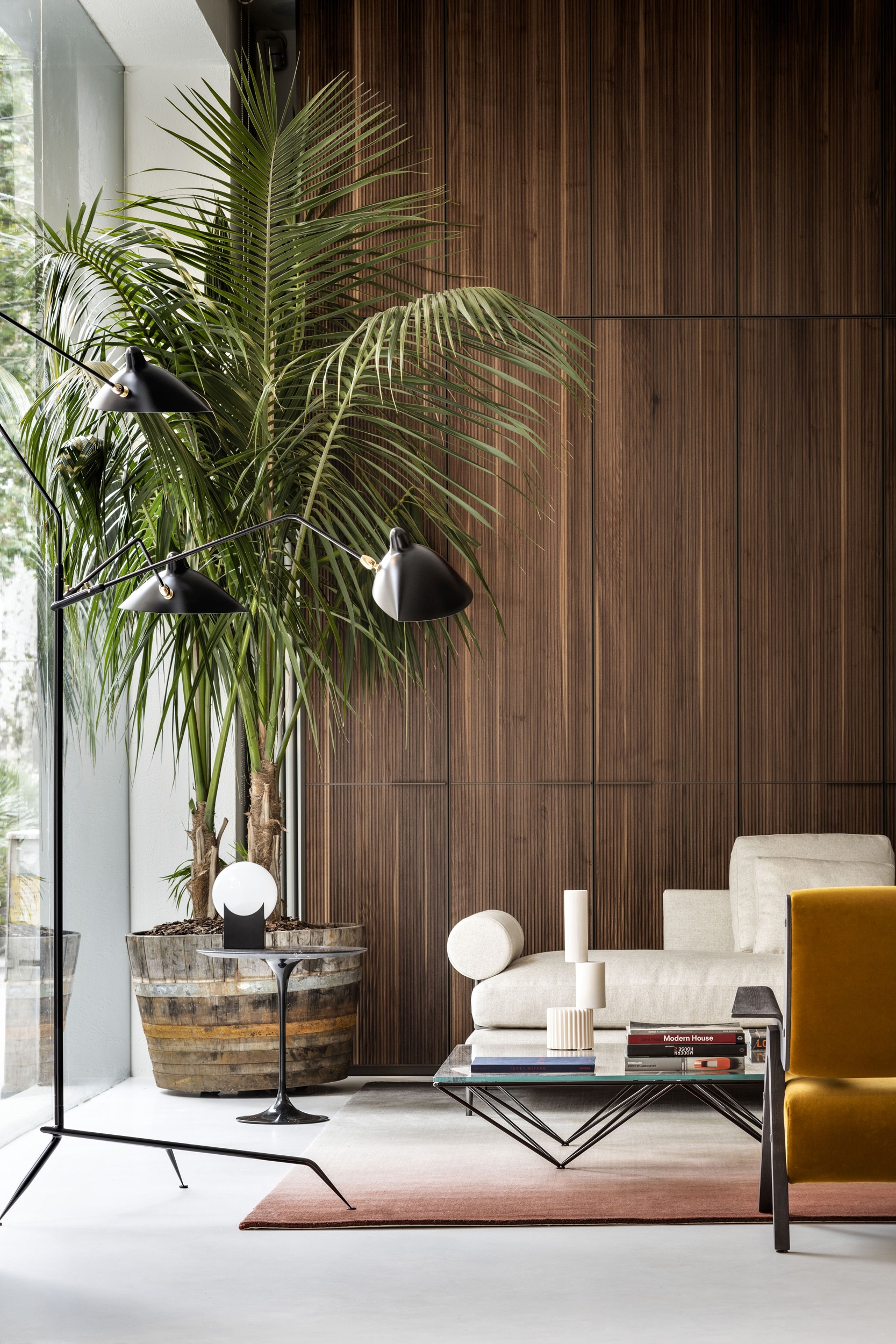 14 Spotti Quincoces Drago