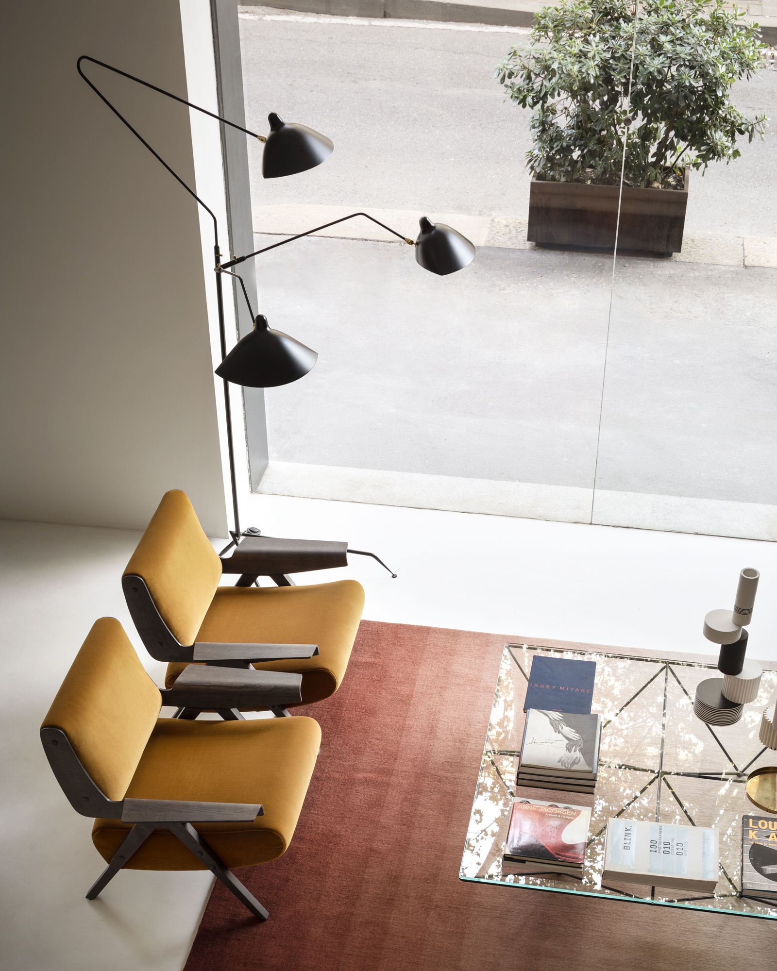 15 Spotti Quincoces Drago