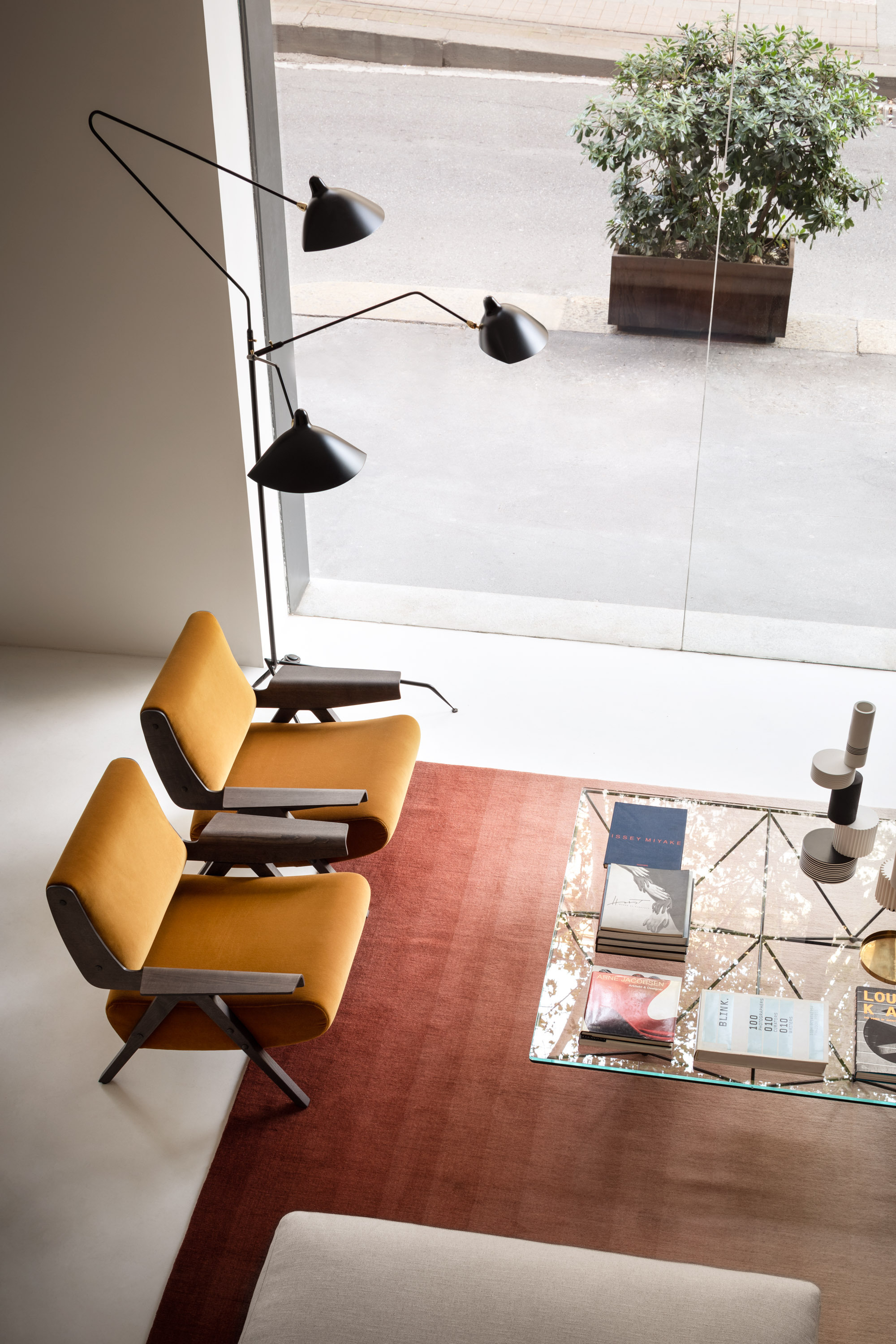 15 Spotti Quincoces Drago